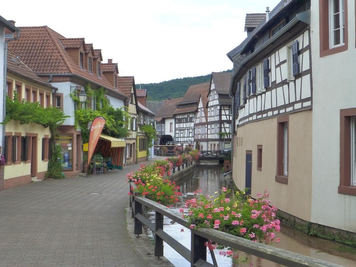 Villa Waldfrieden - Design Trifft Budget Annweiler am Trifels Luaran gambar